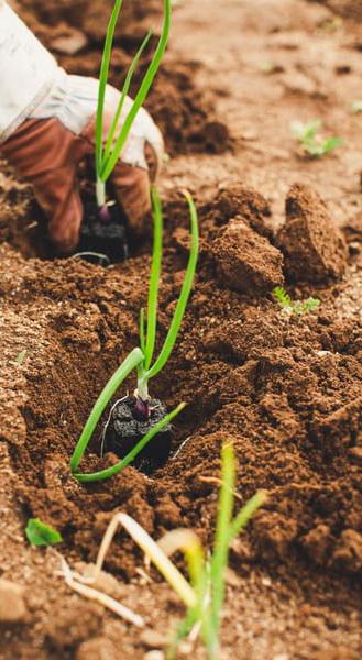 Quentifiy Agriculture 5